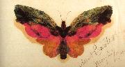 Albert Bierstadt Butterfly oil painting picture wholesale
